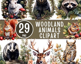 Woodland Animals Clipart Bundle, 29 PNG Forest Creatures (Digital Download)