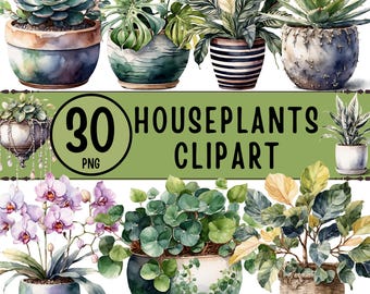 Kamerplanten clipart png bundel-30 aquarel potplanten (digitale download)