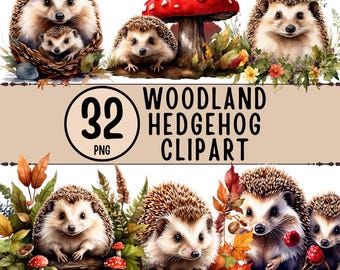 Woodland Hedgehog Clipart Bundle, 32 PNG Watercolor Forest Animals (Digital Download)
