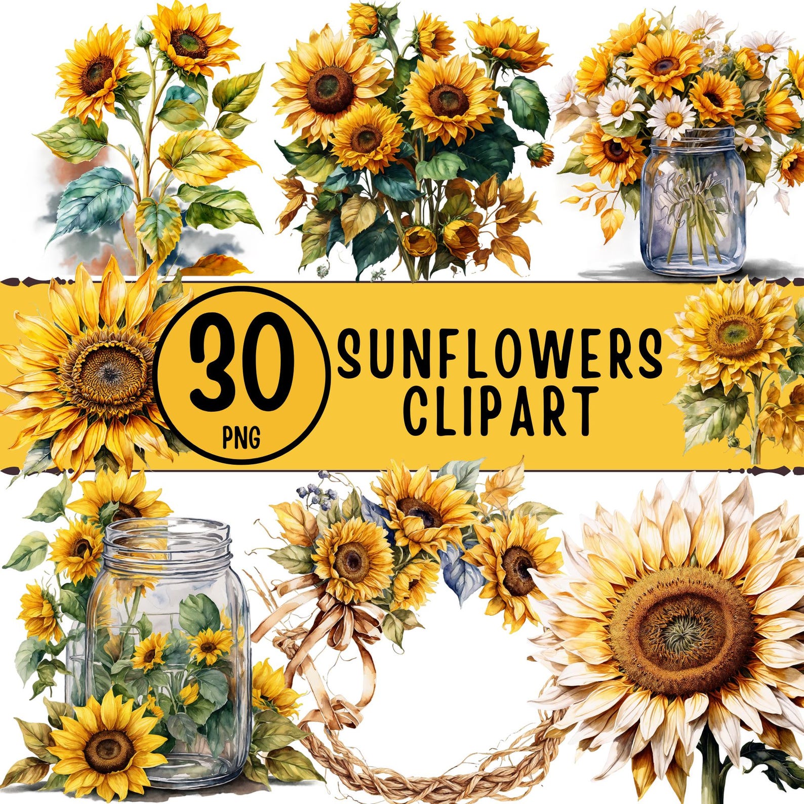 Sunflowers Clipart Bundle, 30 PNG Watercolor Sunflower Art (digital ...