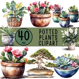 May include: Watercolor illustrations of potted plants, including cacti with pink flowers, succulents, and a bonsai tree. The image also features a variety of pots and the text "40 PNG Potted Plants Clipart."