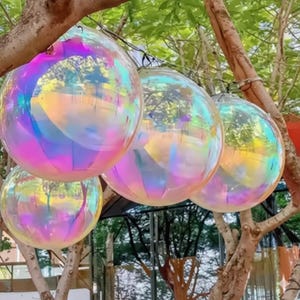 May include: Several iridescent, spherical decorative lights hang from tree branches. The spheres reflect a rainbow of colors, including pink, yellow, and blue. The lights are strung together on a thin wire, creating a whimsical outdoor decoration.