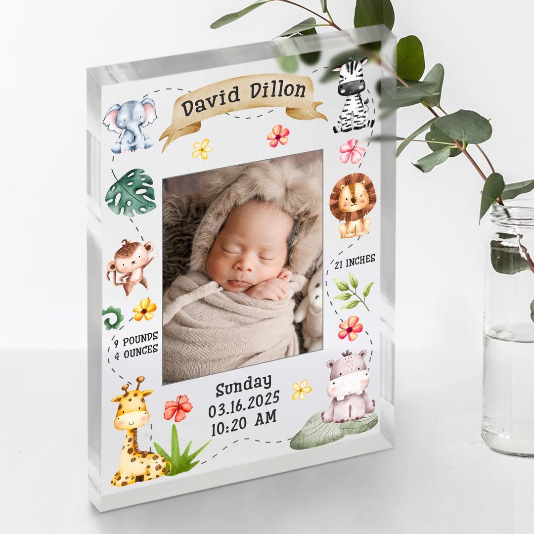 Personalized Baby Birth Announcement Acrylic Block, Newborn Birth Stat ...