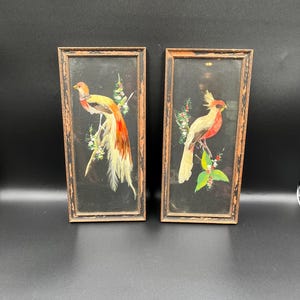 Mexican Feather Art Beautifully Vintage Birds Framed with Hand Painted Accents. 1940s.