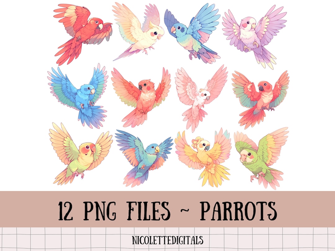 Parrot Png Bundle, Clipart Set of 12 Colorful Parrots, Transparent ...