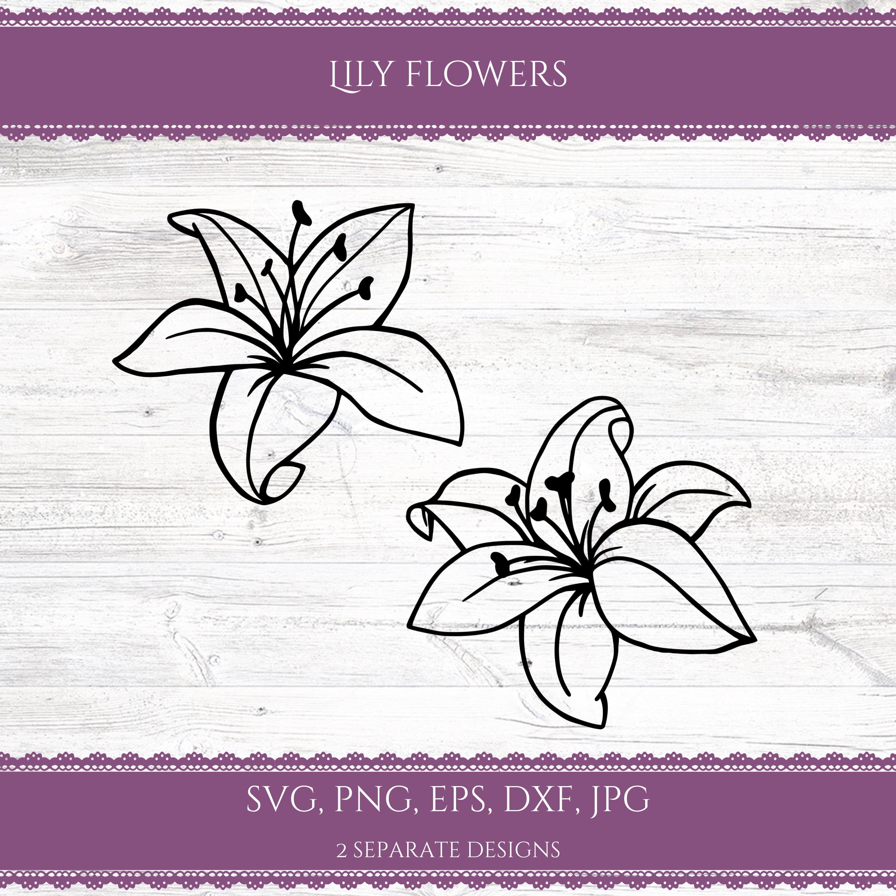 鹿乃 遠恋(サイン入り)＆Lily，Lily Lily Flower Cut File, Stargazer Lily Svg, Lily Clipart, Tiger Lily