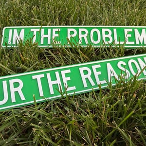 May include: Two green rectangular signs with white text that read "IM THE PROBLEM" and "UR THE REASON". The signs are resting on a bed of green grass.