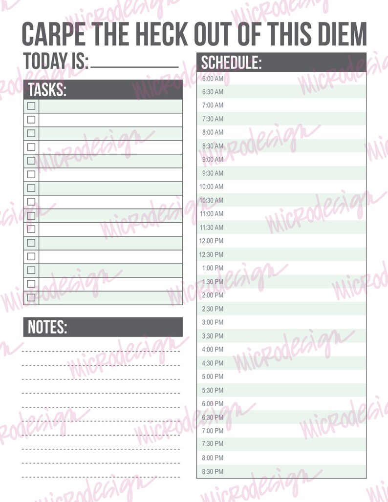 Carpe Diem 2.0 Planner: Daily Schedule Printable Sheet - Etsy