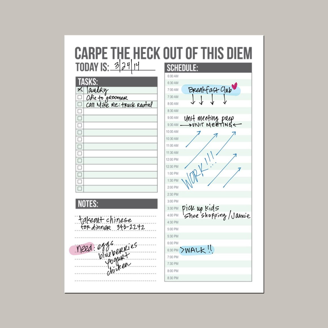 Carpe Diem 2.0 Planner: Daily Schedule Printable Sheet - Etsy