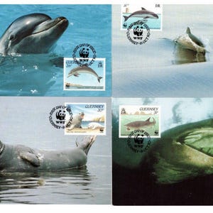 Guernsey 1990 Sea Life Set mit WWF Panda Logo auf 4 Maximum Karten gestempelt Ersttagsgeschenk