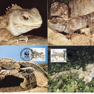 New Zealand 1991 Tuatara set with WWF Panda Logo on 4 Maximum Cards Cancelled First Day