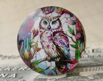 Stained glass window Owl, 25mm round glass cabochon, wisdom bird, handmade in this shop, one inch, bottle cap size, colorful