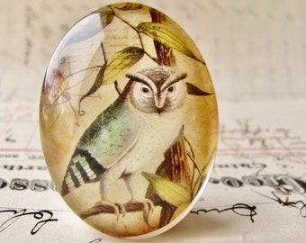 Eagle Owl, Horned Owl, 40x30mm glass oval cabochon, brown blue, wisdom bird, handmade in this shop, illustration