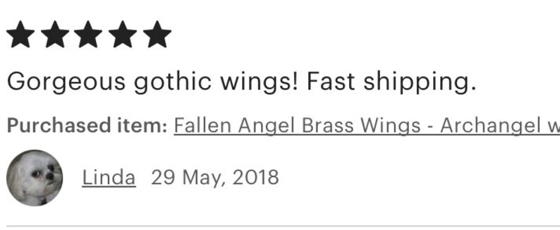 May include: Five star review for Fallen Angel Brass Wings - Archangel wings. The review reads "Gorgeous gothic wings! Fast shipping."
