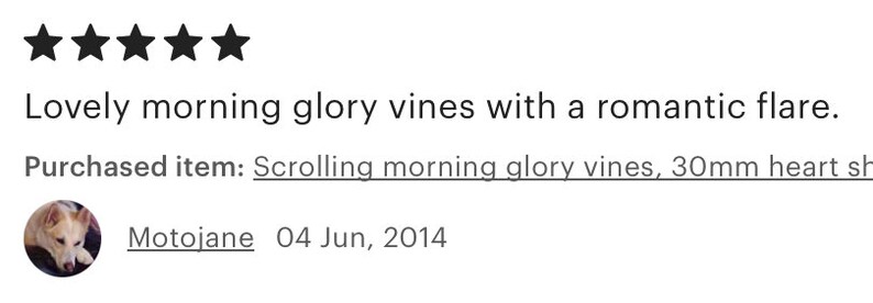 May include: Five star review for scrolling morning glory vines with 30mm heart shaped flowers. The review reads "Lovely morning glory vines with a romantic flare."  The review was written by Motojane on June 4, 2014.