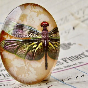 Dark wing dragonfly, wallpaper background, 40x30mm or 25x18mm, handmade glass oval cabochon, winged insect, bug, garden