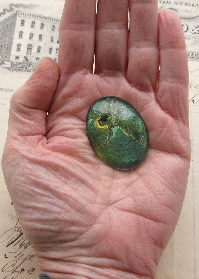 Op de afbeelding: Een groene glazen cabochon met een geel en groen fee&euml;nontwerp. De cabochon is ovaalvormig en heeft een glad, glanzend oppervlak.