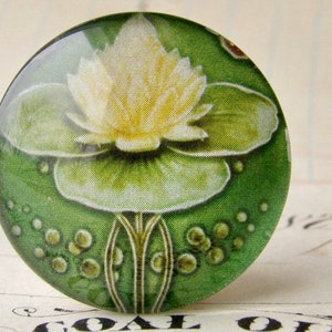 May include: A round glass cabochon with a green background and a white flower with yellow centre. The flower is surrounded by small green dots.