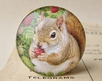 NEW! Squirrel with a raspberry, 25mm round glass cabochon, exclusive animal image, handmade in this shop, one inch, bottle cap size