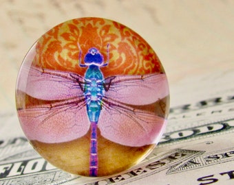 Pink dragonfly cabochon, handmade glass cabochon, 25mm round, one inch, orange wallpaper background, winged, wings, bottlecap size