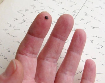 Itty Bitty black bead caps, (50) tiny brass 3mm beadcaps