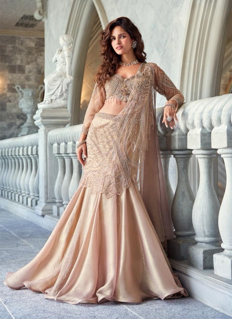 Champagne Gold Indian Gown - Etsy