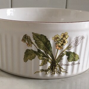 May include: White ceramic baking dish with a brown rim and a floral design featuring yellow flowers and green leaves. The text "Primula officinalis" is printed on the bottom of the dish.