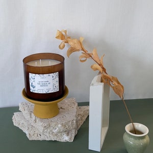 The Magic of Aromas Candle, Luxury Scented Candle, Botanical Soy Wax Candle, Elegant Home Decor, Aromatherapy Gift