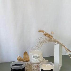 Aesthetic Designer Perfumes Scented Candle in White Frosted Jar – Unique Fragrance - Modern Elegant Home Decor - Minimalist Decor