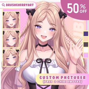 CUSTOM PNGTUBER | PNGtuber | PNGtuber Character | PNGtuber Commissions | PNGtuber for Streamer | PNGtuber Model | PNGtuber Anime