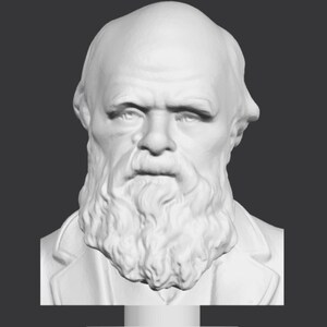 Charles Darwin Bust, 3D Printed Charles Darwin, Charles Darwin Sculpture,  Custom 3D Printing, Size & Colour Options
