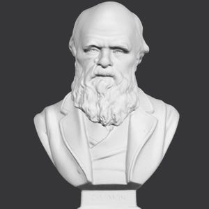 Charles Darwin Bust, 3D Printed Charles Darwin, Charles Darwin Sculpture,  Custom 3D Printing, Size & Colour Options