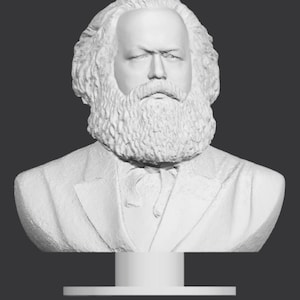 Karl Marx Bust, 3D Printed Karl Marx Statue, Karl Marx Sculpture,  Custom 3D Printing, Size & Colour Options