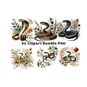 Slang PNG sublimatie ontwerpen clipart aquarel zwarte mamba rat slang Chinese dierenriem Luna nieuwjaar cobra slang minnaar reptiel minnaar cadeau