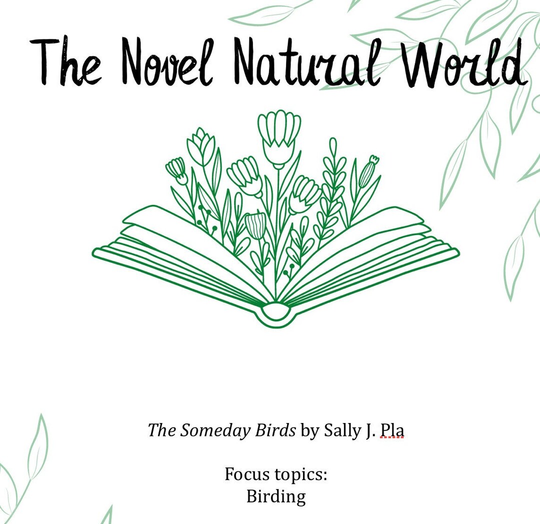 Novel Study the Someday Birds Sally J. Pla Naturefocused ELA Etsy