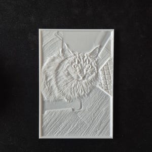 lithophane photo