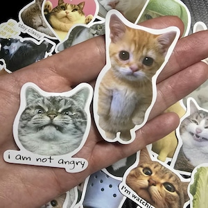 Lot de 50 Stickers Vinyle Chats Mignons et Marrants – Memes Chats | Waterproof & Résistants aux UV