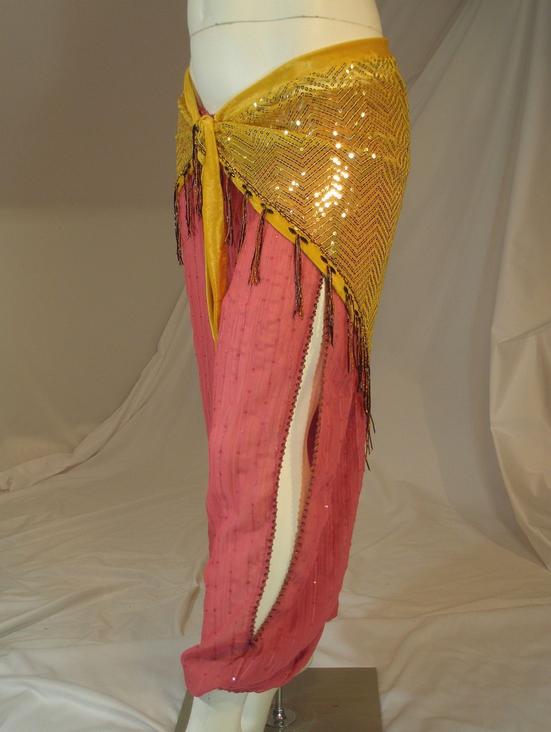 Harem Pants Belly Dance Pants Pantaloons Sequin Harem Etsy