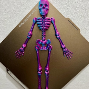 Op de afbeelding: Een 3D-geprint skeletmodel met een roze en blauwe gradiëntafwerking. Het skelet staat met zijn armen uitgestrekt. Het skelet staat op een getextureerd bruin oppervlak.