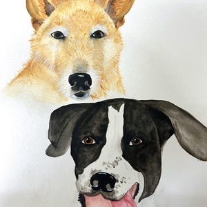 Custom Hand-Painted Pet/Animal