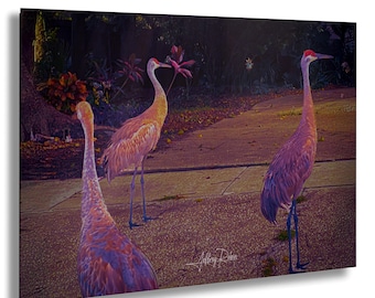Sandhill Crane Photography, Sandhill Cranes Painterly Photo, Bird Photography, Nature Print, Crane Art, Hanging Wall Art, Coastal Home Decor