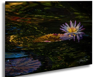 Blue Lotus Photo, Water Lily Art, Monet Style Art, Botanical Photography, Floral Decor, Hanging Wall Art, Ripple Water Image, Nature Print