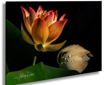 Indian Lotus Photo, Nature Wall Art, Lotus Photography, Floral Canvas, Botanical Decor, Flower Art, Lotus Bloom, Hanging Wall Art