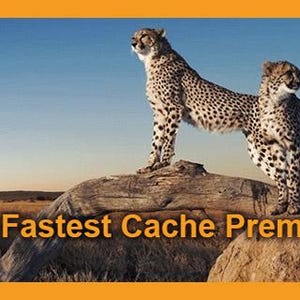 Puede incluir: Dos guepardos se encuentran de pie sobre un tronco grande y desgastado en un entorno de sabana. Los guepardos están mirando a la cámara, con el guepardo en primer plano mirando hacia la izquierda. El texto "WP Fastest Cache Premium" está superpuesto a la imagen.