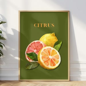 Citrus Fruit Wall Art, Watercolor Lemon And Grapefruit Print, Vibrant Kitchen Decor, Fresh Orange Illustration, Botanical Modern Food Poster