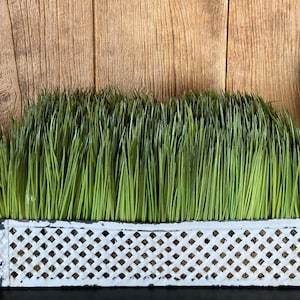 Grass decoration in metal basket, Spring, Easter decor artificial grass