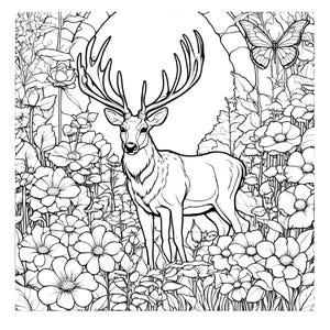 Colouring, coloring, wildlife, relaxation, anti stress