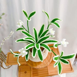 May include: A crocheted plant with white flowers and green leaves in a white crocheted pot. The plant is sitting on a wooden surface.