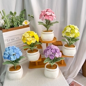 Puede incluir: Una colección de plantas de hortensias hechas a mano con ganchillo en varios colores, incluyendo rosa, amarillo, azul y morado. Cada flor está en una maceta blanca de ganchillo, creando una exhibición encantadora y decorativa. Las plantas están dispuestas sobre un soporte de madera y una superficie blanca.