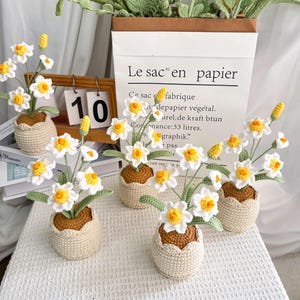 Peut inclure: Des jonquilles crochetées à la main dans de petits pots. Les fleurs blanches et jaunes ont des feuilles vertes et sont disposées dans des pots beiges. Un calendrier en bois affiche le chiffre 10. Un sac en papier avec du texte français est en arrière-plan.